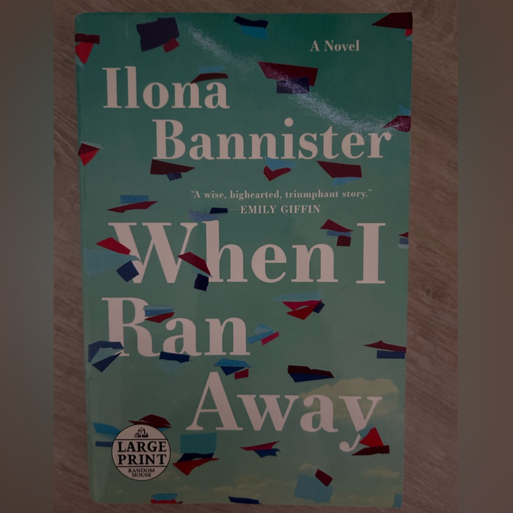 When I Ran Away by Ilona Bannister - Large Print Paperback Book